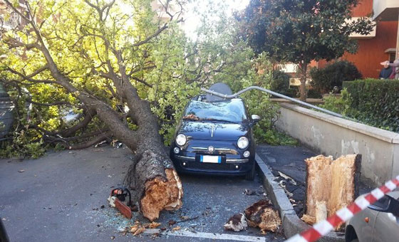 Vento di scirocco a cento all’ora in Provincia. Disagi e danni a Messina, Barcellona, Nebrodi ed Eolie. Diverse le tragedie sfiorate