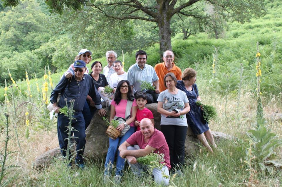 Sinagra. Passeggiata ecologica alla riscoperta di antichi sapori tra fragoline e origano