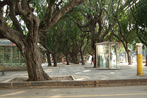 Messina. Piazza Cairoli si veste di verde