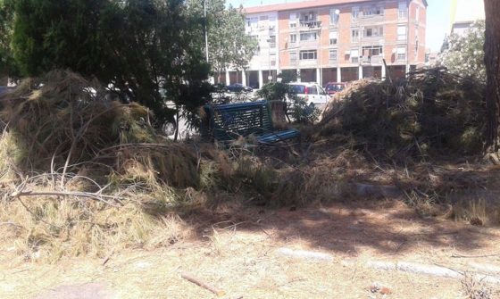 Barcellona. Segnalazione di degrado e pericolo in Piazza Verga