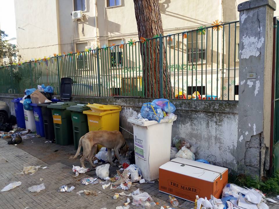 Barcellona PG. Degrado urbano davanti scuola dell’Infanzia: “Adesso basta a questo schifo!”