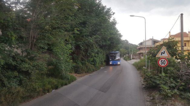 Barcellona PG. Pericolo sulla Nazionale per Terme Vigliatore, tratto stradale invaso da vegetazione e scarsa illuminazione