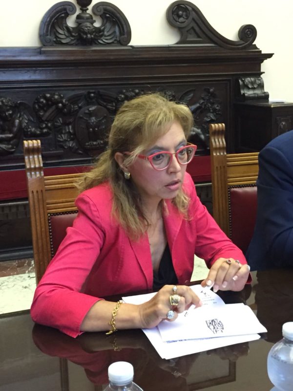 Elezioni Barcellona PG. On. Bucalo: “Fallito progetto unitario, adesso sostegno a Ilenia Torre”