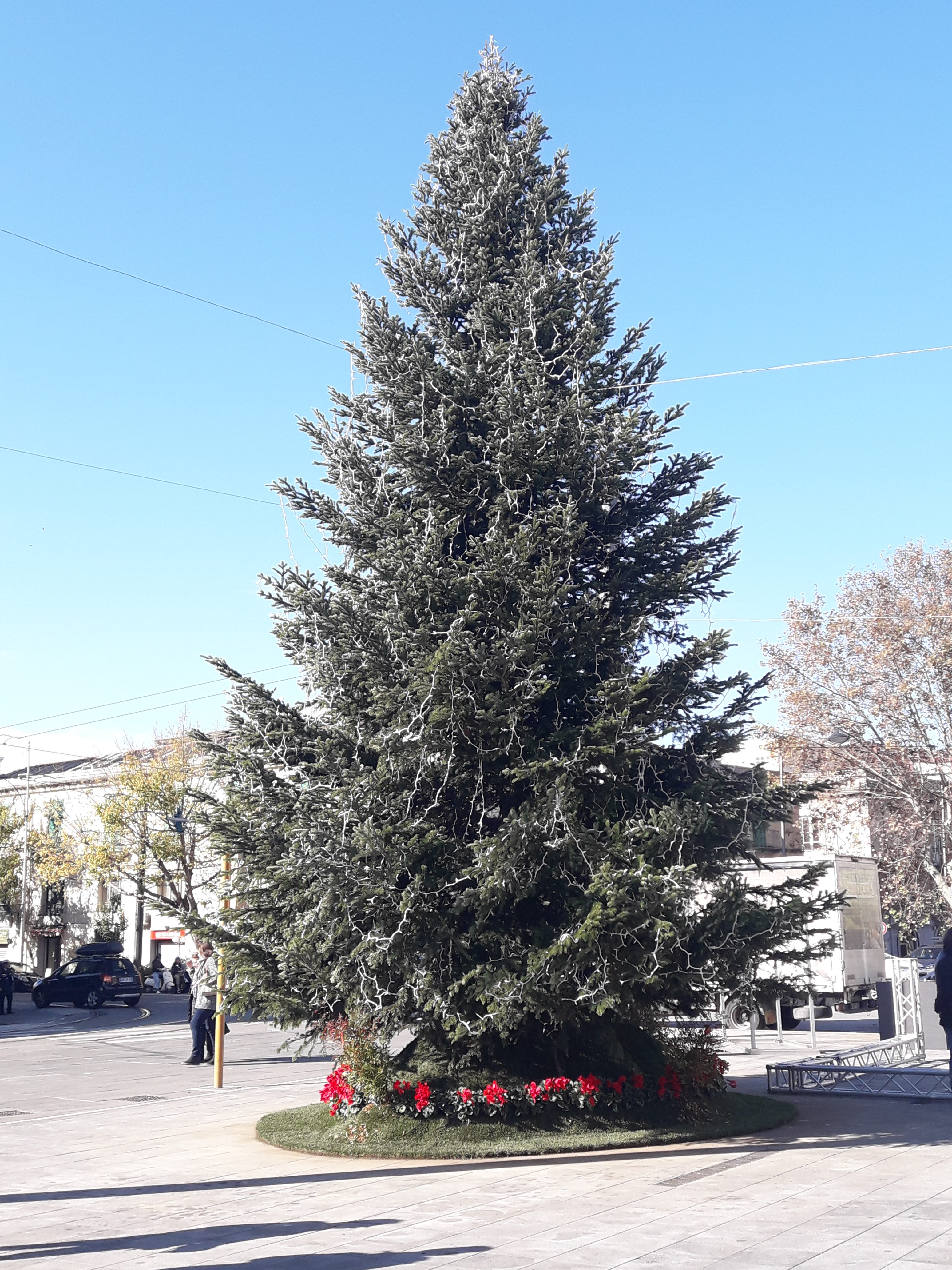 Messina. Il Natale 2019 all’insegna della solidarietà al piccolo Dylan