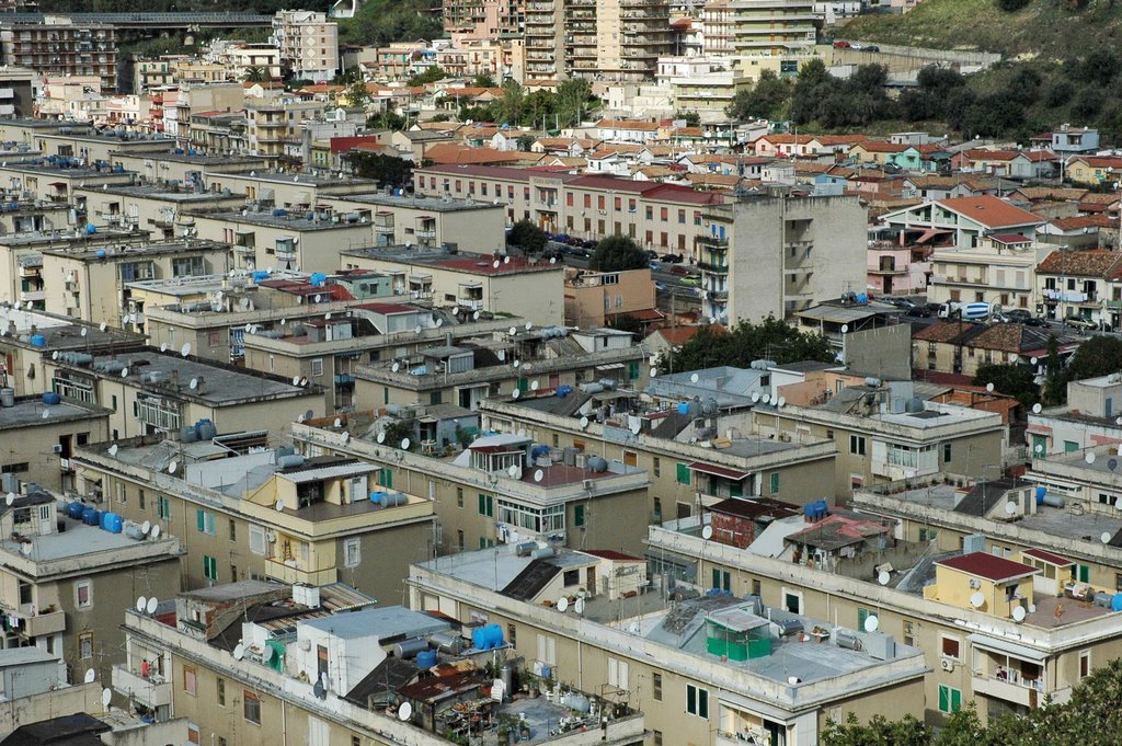 Messina. Colonia di topi a Camaro. L’assessore Minutoli si difende