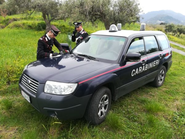 Barcellona PG. Carabinieri di Castroreale, arrestano due persone per furto in agrumeto