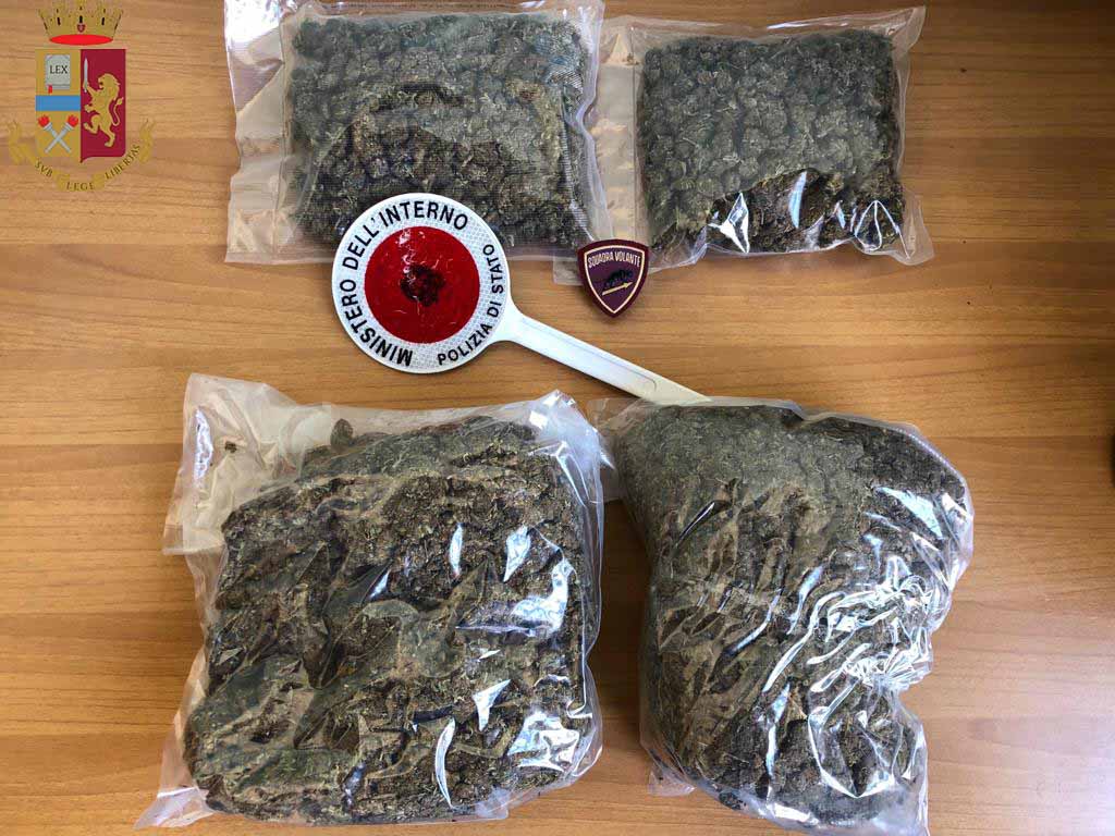 Servizi antidroga. Polizia sequestra 2 kg di marijuana