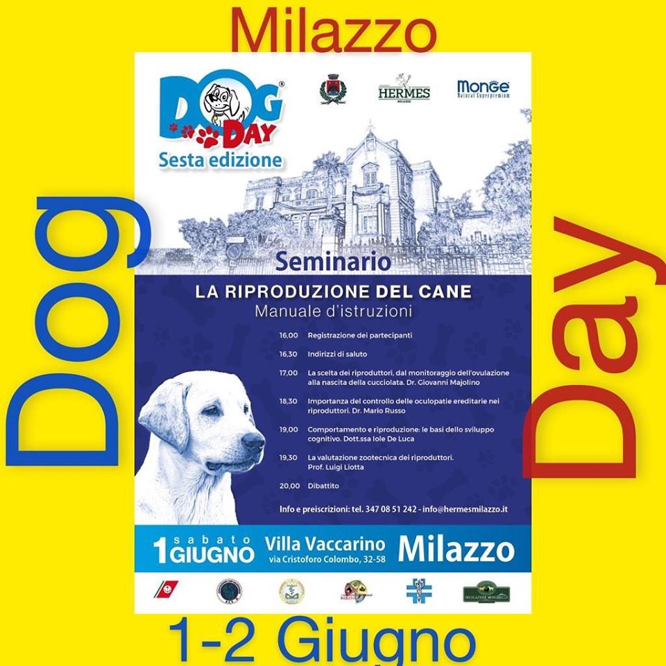 Milazzo. Conferenza di presentazione del ‘Dog Day’