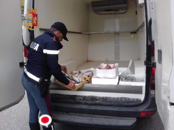 Patti. Polizia sequestra 50 Kg di pesce pericoloso per la salute pubblica