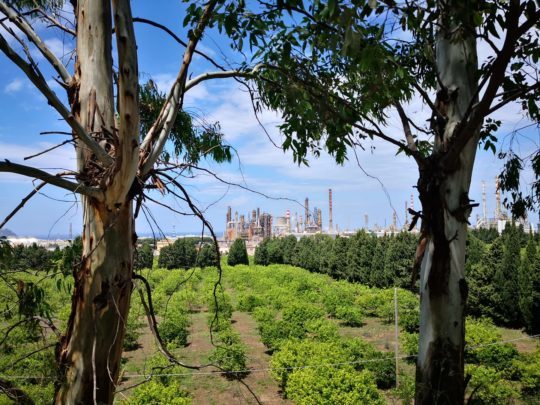 Emergenza ambientale e sanitaria, nuovo allarme: “Malformazioni congenite 80% più elevate d’Italia a Milazzo e Valle del Mela”