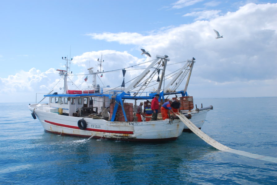 Regione. Pesca, Pullara:”Nuova legge è strumento per uscire dalla crisi”