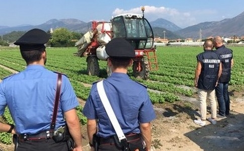 Messina e provincia. Bilancio ‘nero’ dai controlli sul lavoro: 14 denunce, 25 lavoratori in nero e sanzioni per oltre 130mila euro