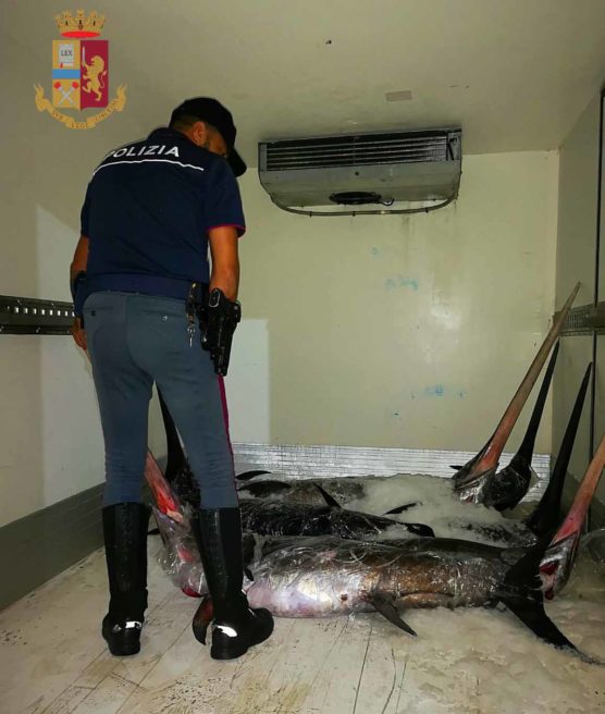 Polizia sequestra 950 Kg di pesce in cattivo stato di conservazione