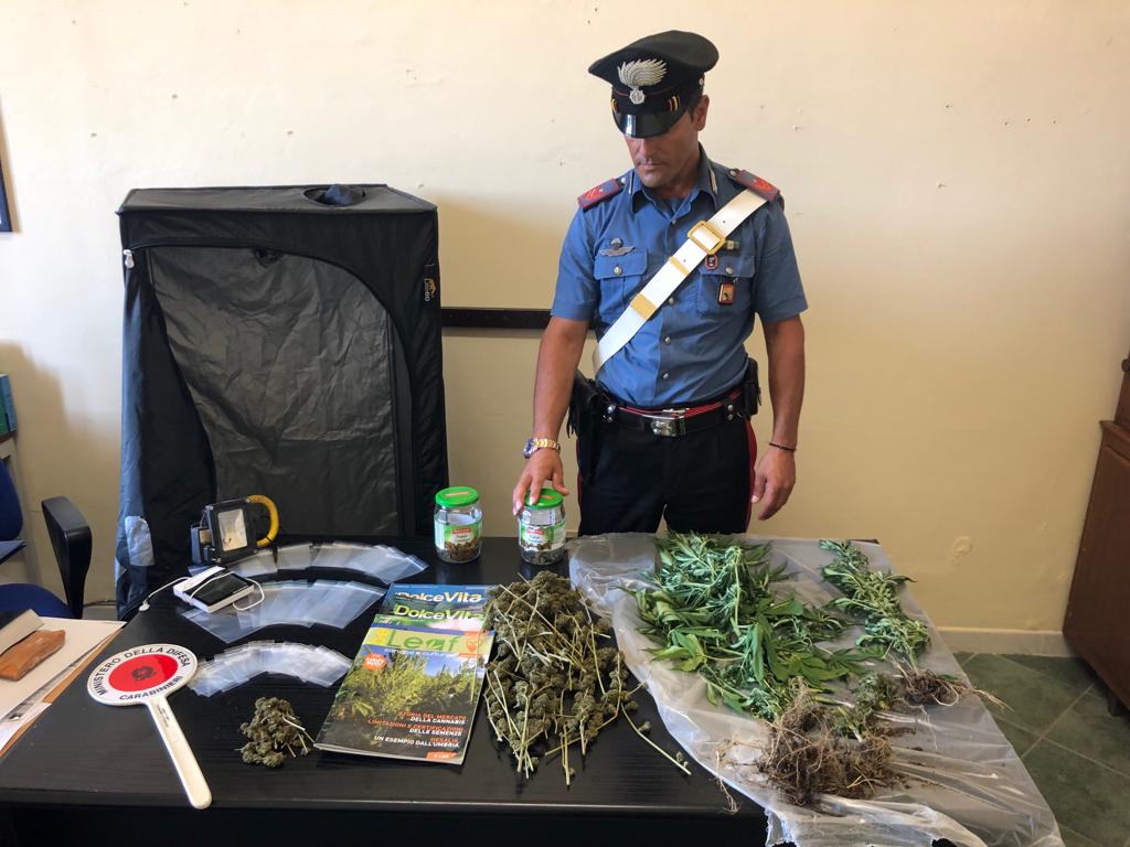 San Pier Niceto. Arrestato 26enne che deteneva marijuana e coltivava in casa piante di canapa