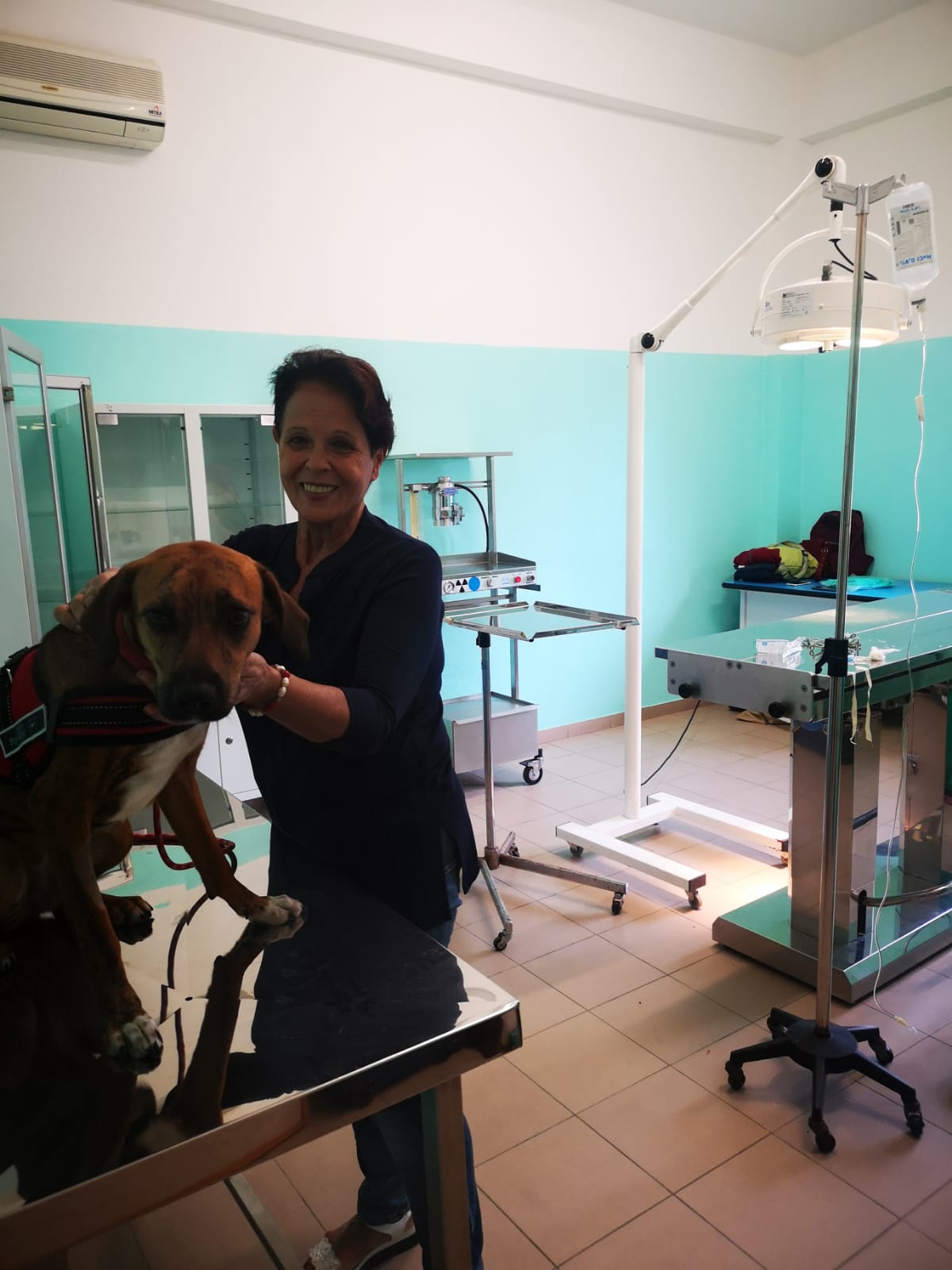 Barcellona PG. Partito il servizio di sterilizzazioni presso l’Ambulatorio Veterinario Comunale 