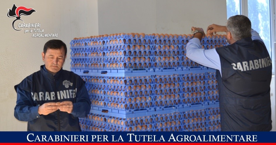 Operazione ‘Tuorlo’, sequestrate uova per assenza di rintracciabilità: 12mila euro in sanzioni