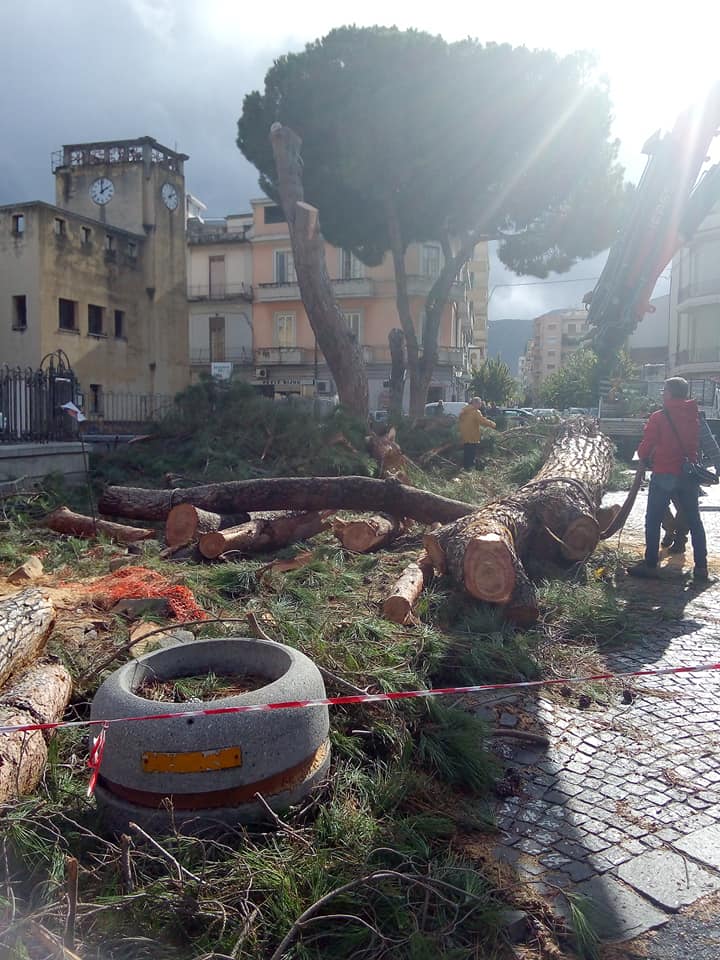 Barcellona PG. Addio ai pini di Piazza San Sebastiano. Nuova fontana e alberi d’arancio 