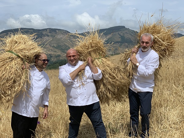 #Eccellenza Nasce primo pane dai grani antichi siciliani, seminati da Ambasciatori del Gusto Arena, Freni e Caliri