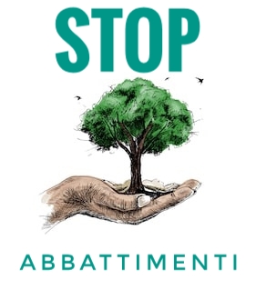 Barcellona PG. Il Collettivo Maninterra: “Fermare l’abbattimento di alberi e fare chiarezza su Bilancio Arboreo e Piano Verde Comunale”                     