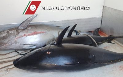 Pesca sportiva/ricreativa, chiusa la Campagna di pesca del tonno rosso