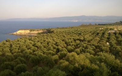 Terreni dismessi alla “Lucifero”, Amministrazione punta al dialogo con la Fondazione