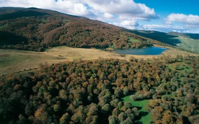 Parco dei Nebrodi. Controlli straordinari interforze a tutela area protetta e corretta fruizione
