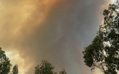 Chiusa A20 Patti – Barcellona, fiamme su colline e fumo ostruisce visuale