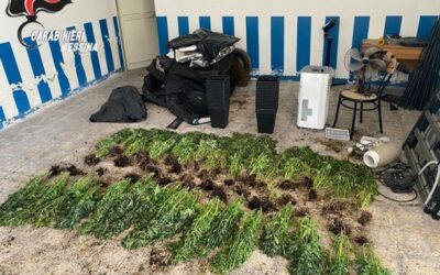 In fiamme abitazione con dentro serra marijuana, corto circuito dell’impianto, 24enne arrestato