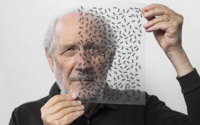 Il maestro Emilio Isgrò e la Cittadinanza Onoraria a San Pier Niceto: “Una sorpresa così bella non me la aspettavo!”