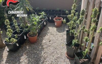Piantagione di marijuana dietro la piscina del figlio, 34enne arrestato