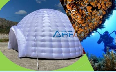 Milazzo. Nell’Atrio del Carmine immersioni virtuali con progetto CORALLO e l’AMP