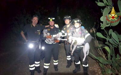 Salvataggio due cani setter, finiti in un dirupo con tecniche SAF