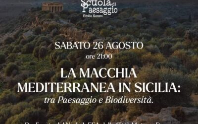 “La Macchia Mediterranea in Sicilia: tra Paesaggio e Biodiversità”, il docufilm dal Nodo InFEA della Città Metropolitana di Messina e da AssoCEA Messina APS