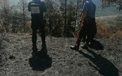 Barcellona PG. Incendi boschivi, indagini di Carabinieri e Forestale