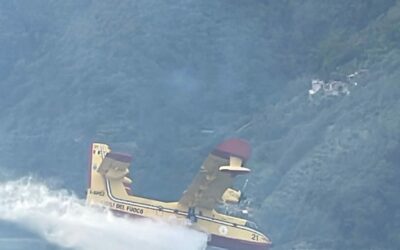 Piraino. Vasto incendio, dieci ettari di macchia mediterranea a fuoco