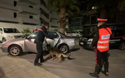 Scovato pusher con fiuto del cane “King”, arrestato 19enne pusher