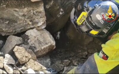 Mazzarrà S. Andrea. Recuperato e salvato un cane incastrato nel fiume