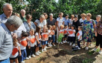 Barcellona PG. La festa dei Nonni all’I.C. Militi: “Radici salde delle future generazioni”