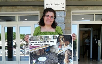 Barcellona PG. Tribunale, ennesima udienza per la presidente di “Randagioioso”