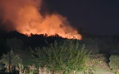 Castroreale. Incendio a Porticato, intervento delle Guardie Agroforestale