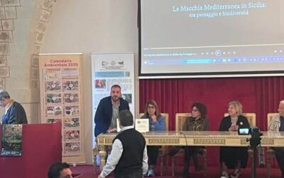 Il Nodo In.F.E.A. della Città Metropolitana di Messina protagonista della giornata conclusiva “Settimana della Macchia Mediterranea”
