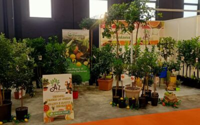 Mazzarrà S. Andrea. ‘Vivai Fontana’ e ‘AZ Piante’ al Garden Day di Catania