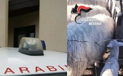 Moio Alcantara. Sorpresi a rubare bestiame, 4 arresti