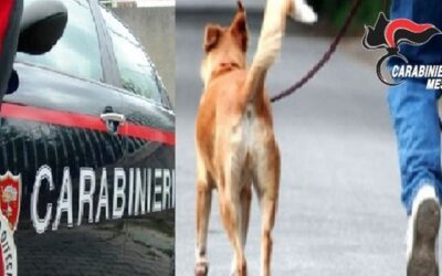 Con la scusa di portare il cane a passeggio, evade dai domiciliari: 39enne arrestato