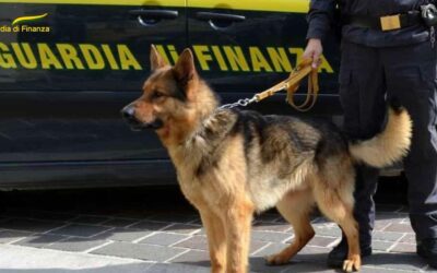 Messina. Arrestato ‘corriere della droga’ con mezzo chilogrammo di cocaina e 200 munizioni