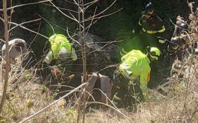 S. Domenica di Vittoria. Recuperato bovino di 400kg scivolato in dirupo