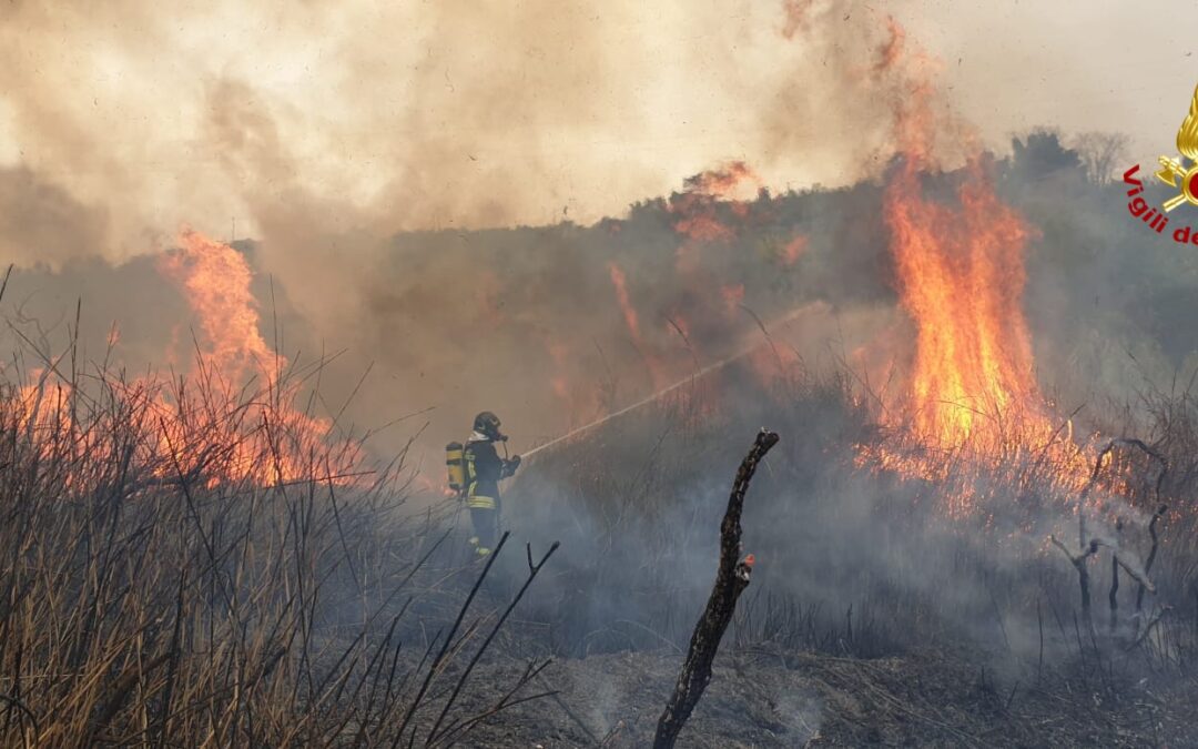 Pace del Mela. Vasto incendio in contrada Malapezza