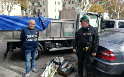 Messina. Controlli a tappeto in mercati rionali: 6 verbali per 9.000 euro di sanzioni e sequestro prodotti ittici