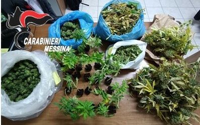 Serra di cannabis in casa, intero vano con 27 piante sequestrate oltre 5 kg di marijuana e oltre 1.200 euro