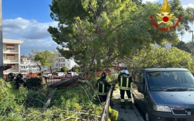 Danni per vento forte a Messina e provincia, numerosi interventi dei VdF